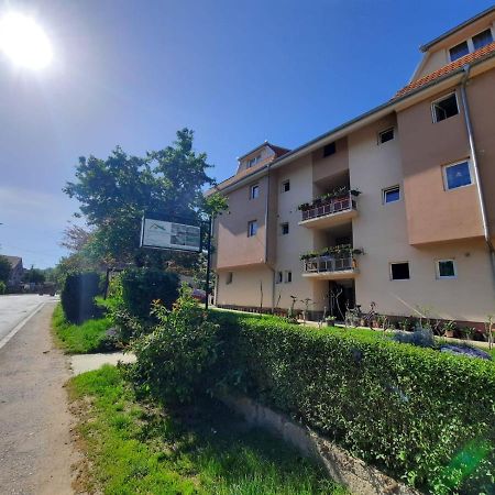 Smestaj Milenkovic Sokobanja Exterior foto