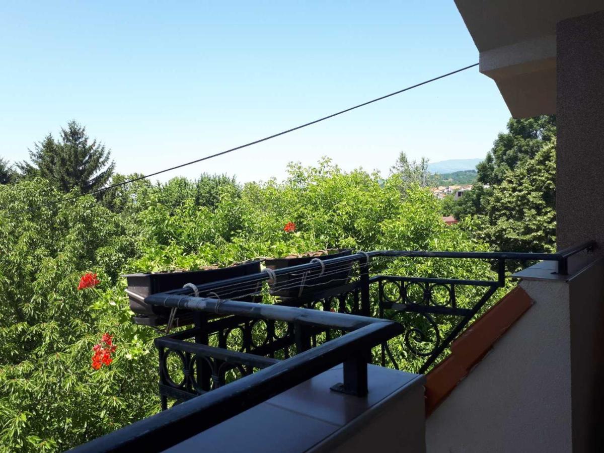 Smestaj Milenkovic Sokobanja Exterior foto
